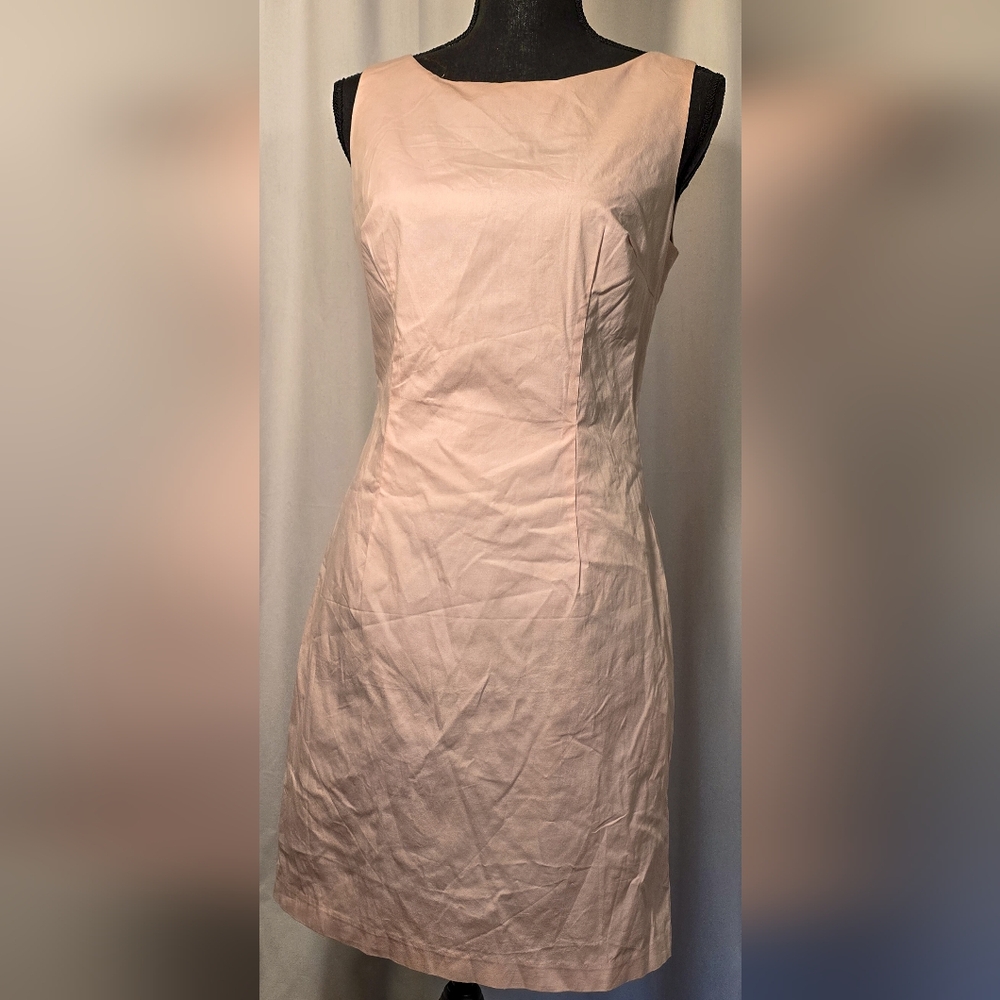 ABS By Allen Schwartz Sleeveless Blush Pink Sheath Dress 6